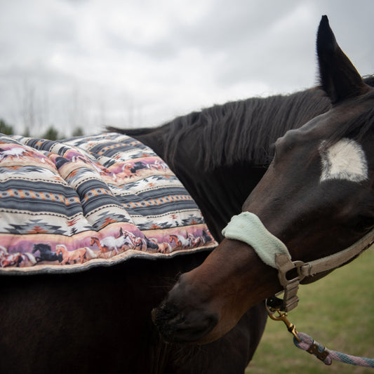 Courrir avec le soleil